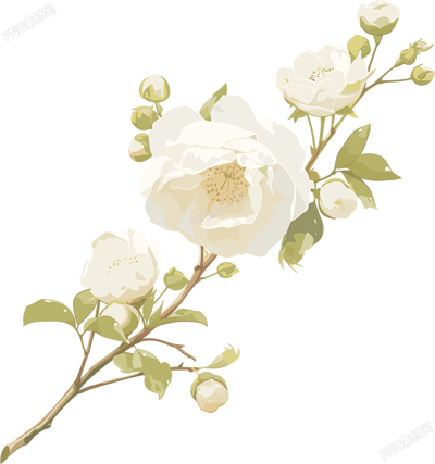 花苞插畫設(shè)計素材