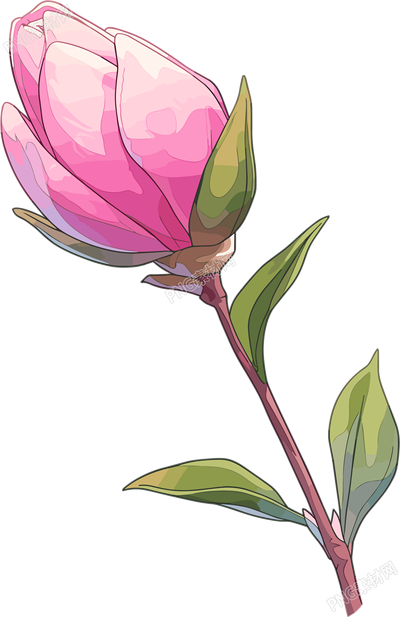 花苞矢量插畫