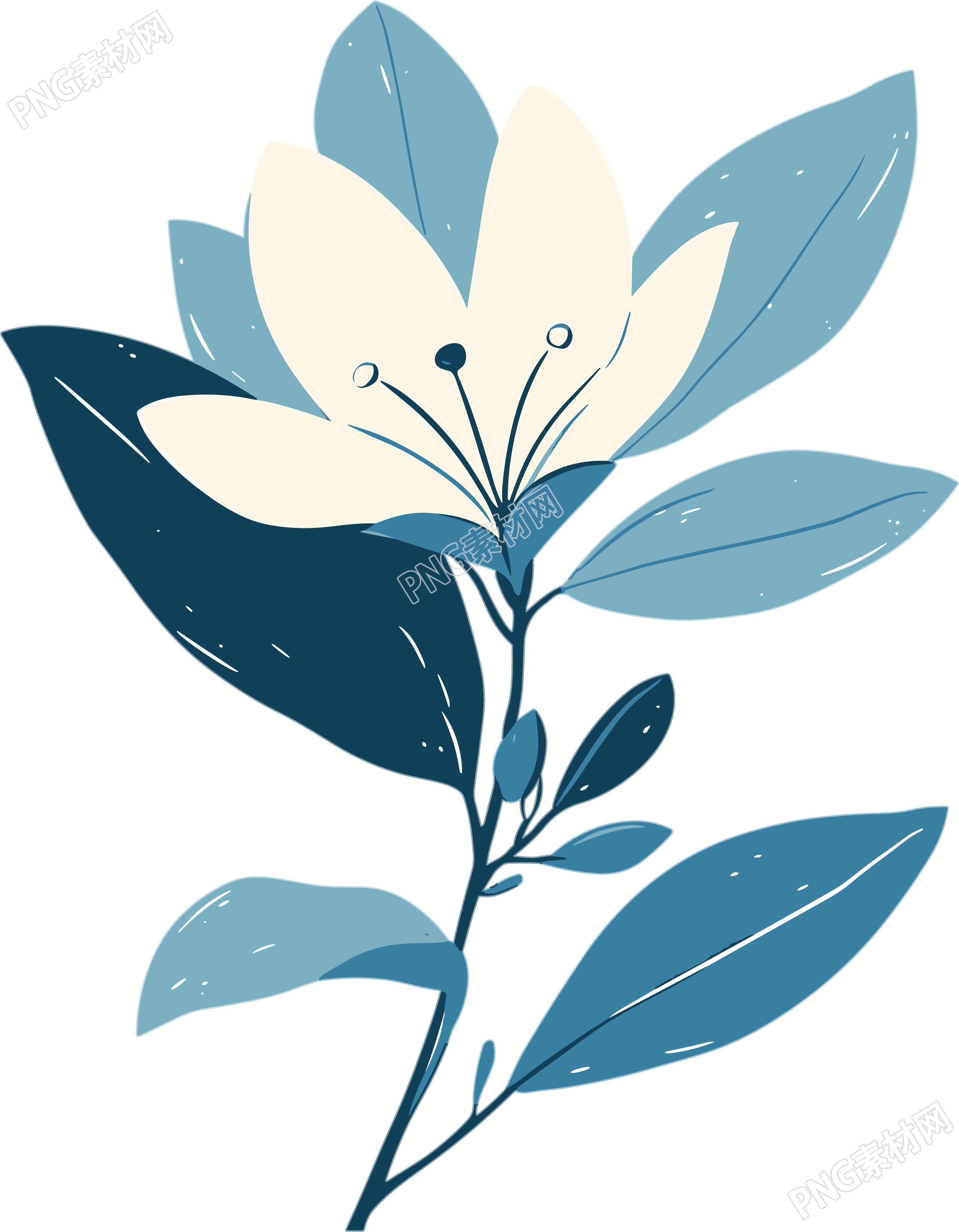花苞简约插画