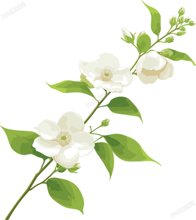 花苞圖案素材