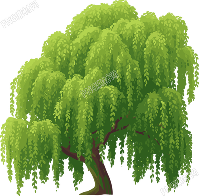 春天柳樹PNG插畫