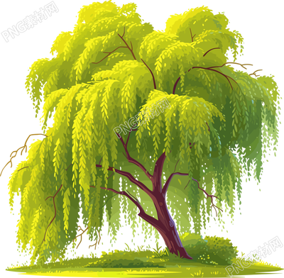 春天柳樹簡(jiǎn)約插畫
