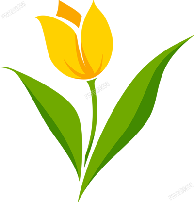 郁金香極簡(jiǎn)插圖