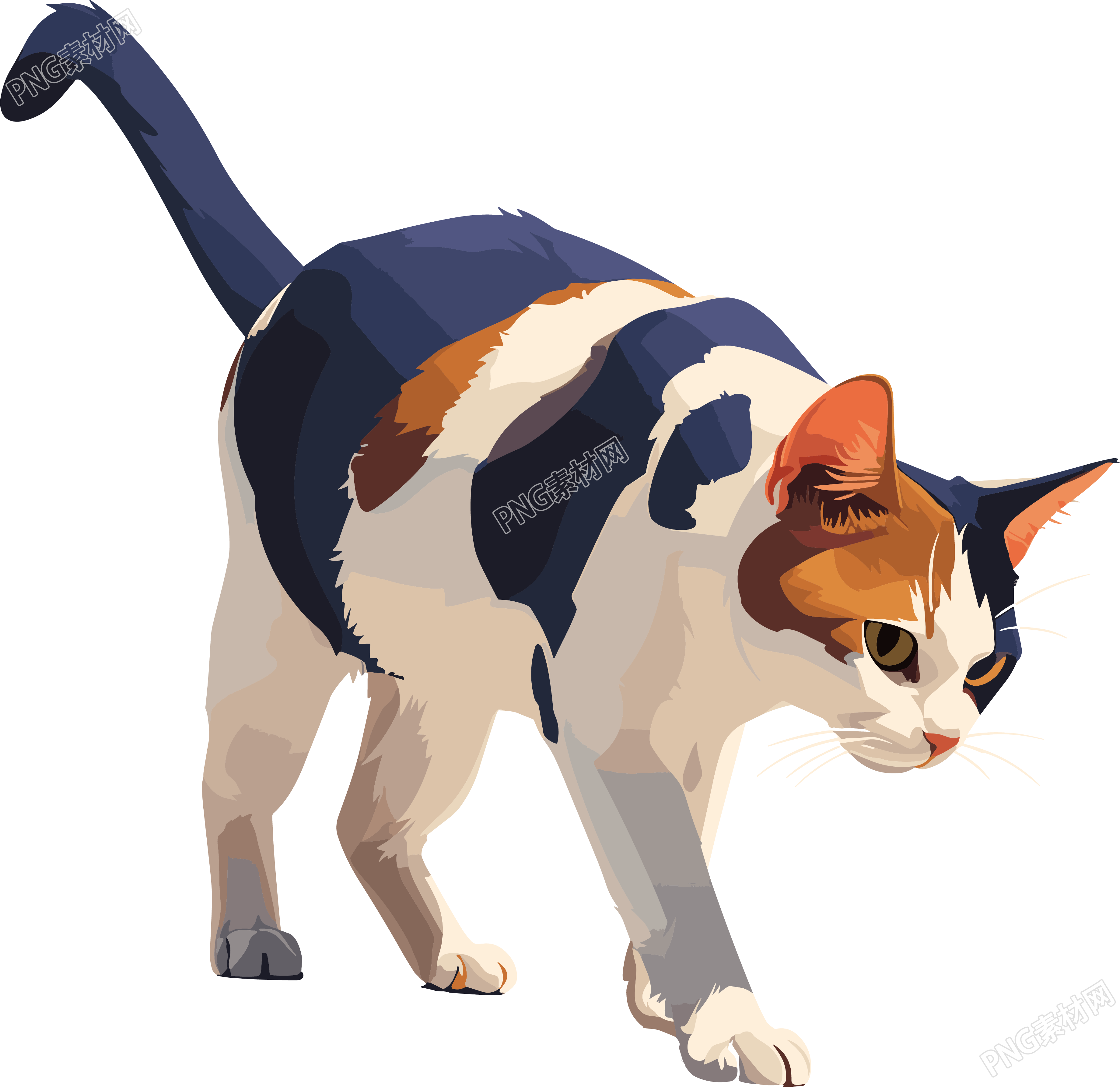 猫咪PNG商用素材