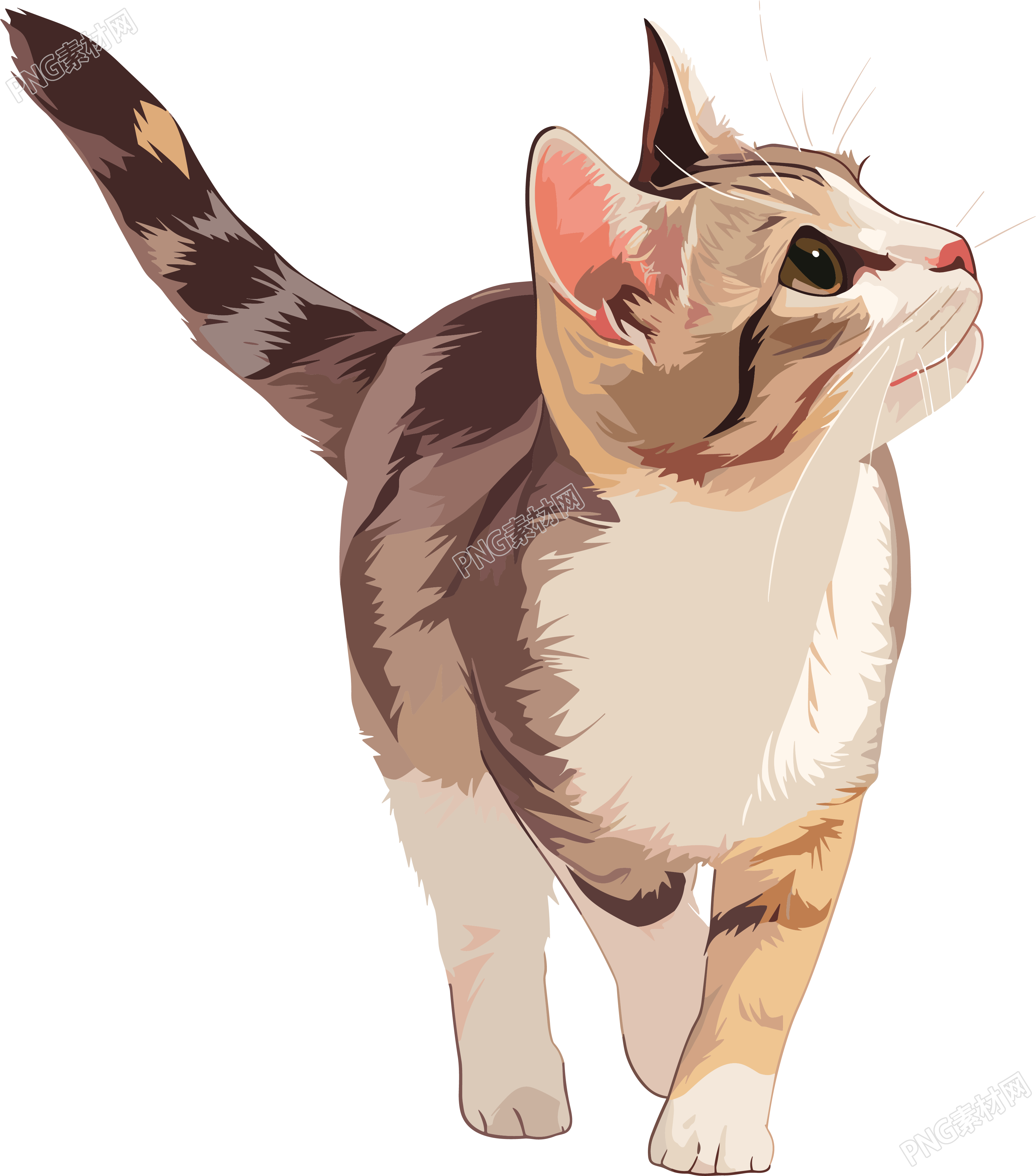 猫咪卡通向量插图