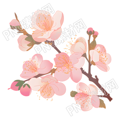 桃花可商用插畫(huà)