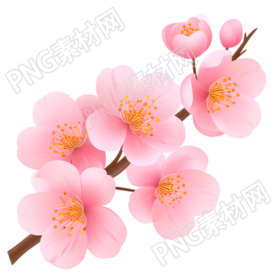 桃花簡(jiǎn)約漂亮素材
