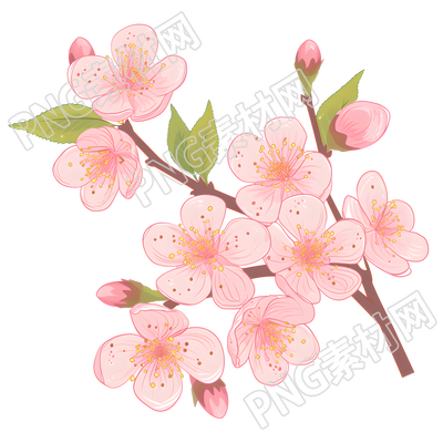桃花高清圖形素材
