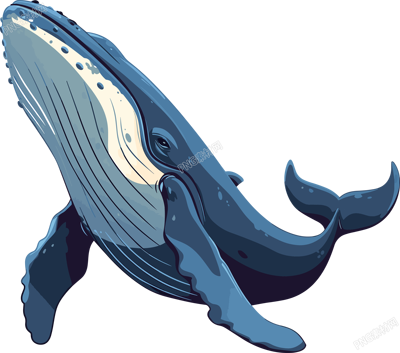 鯨魚(yú)插畫(huà)設(shè)計(jì)元素