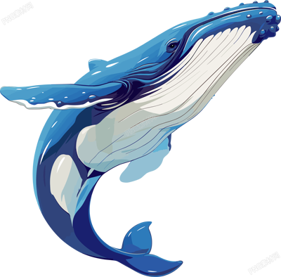 鯨魚(yú)商業(yè)設(shè)計(jì)插圖