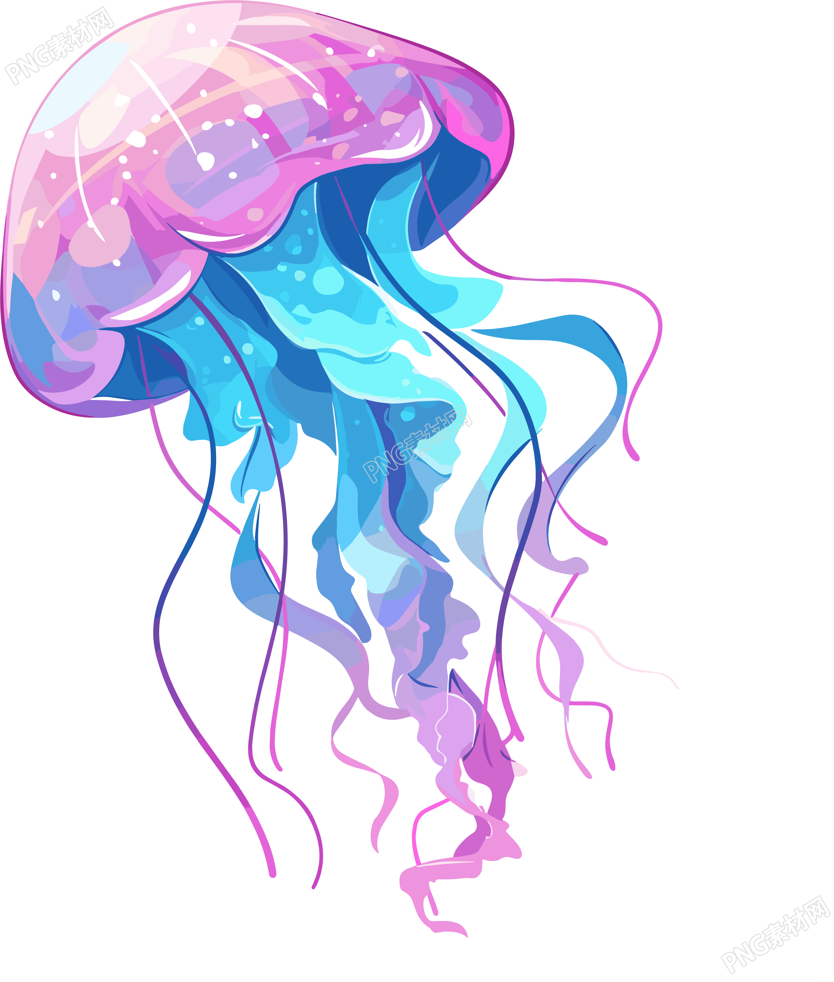 水母卡通插图