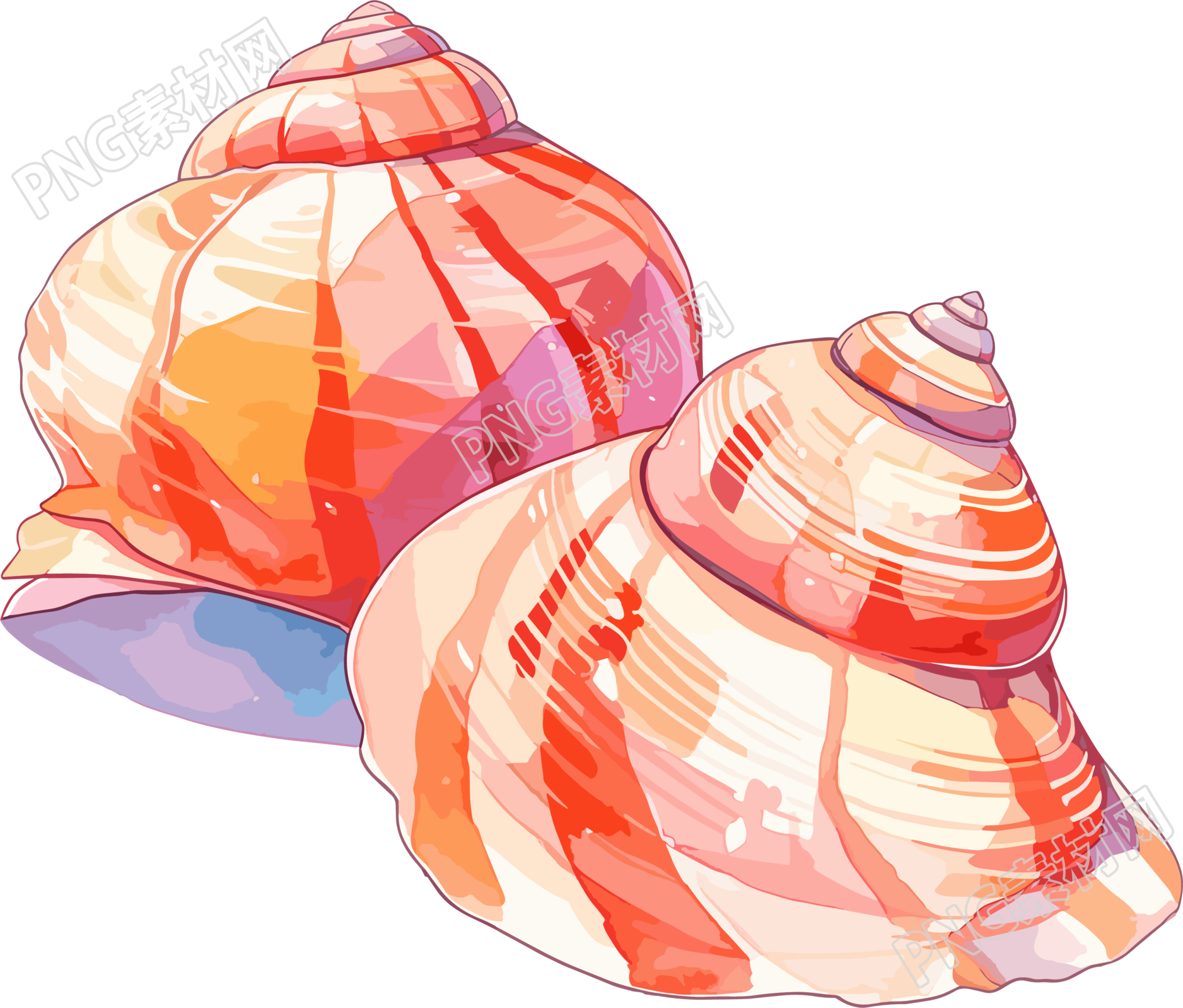 海贝壳卡通插图