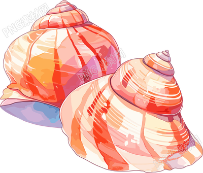 海貝殼卡通插圖