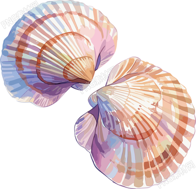 海貝殼簡(jiǎn)約插畫