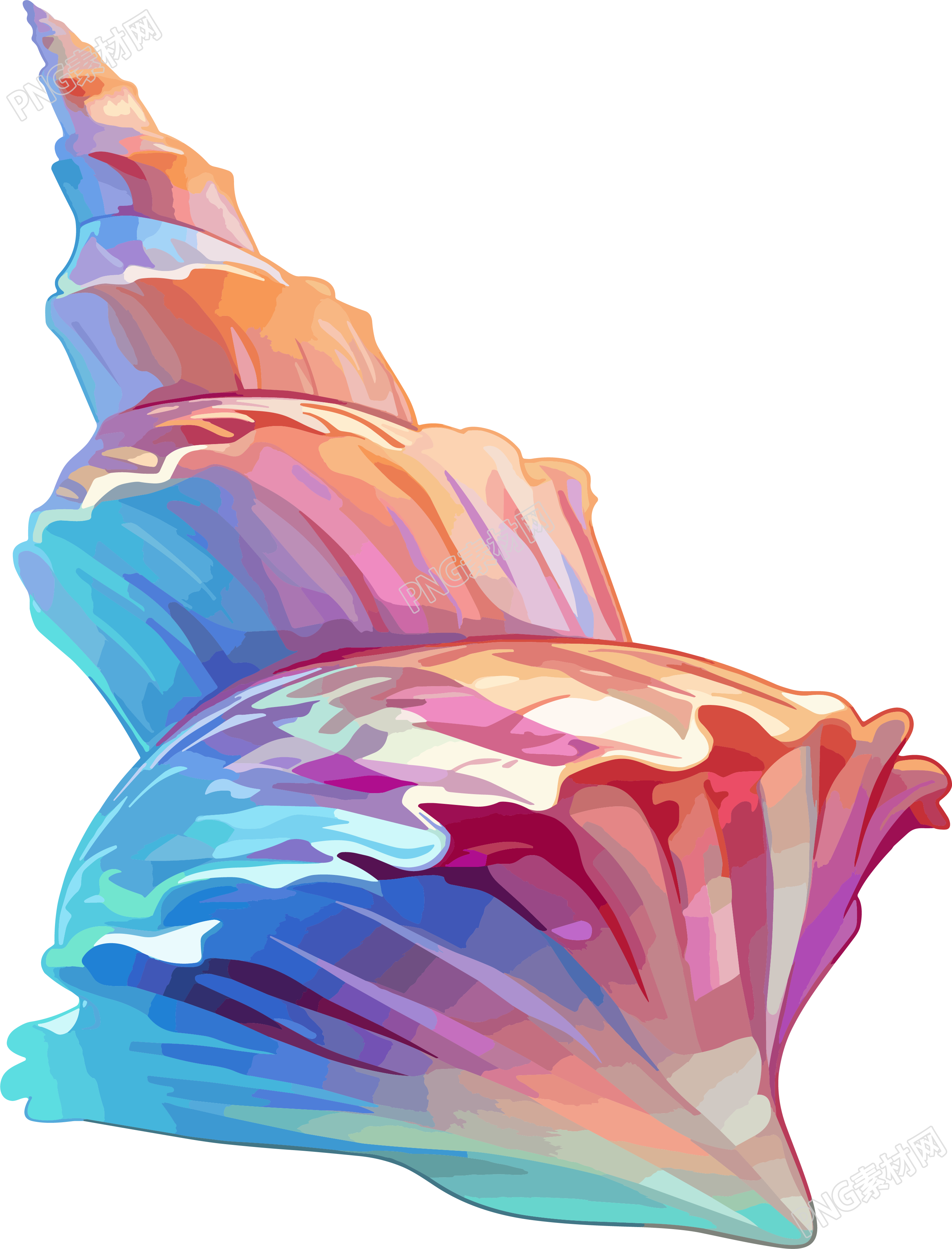 海贝壳卡通插图