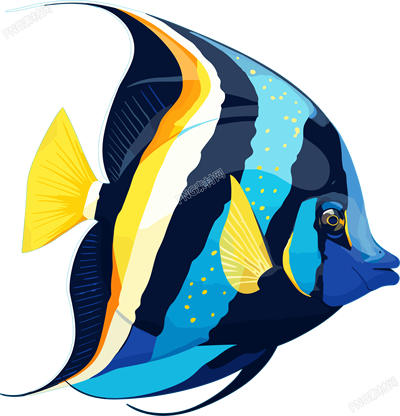 海洋魚(yú)類插畫(huà)設(shè)計(jì)元素