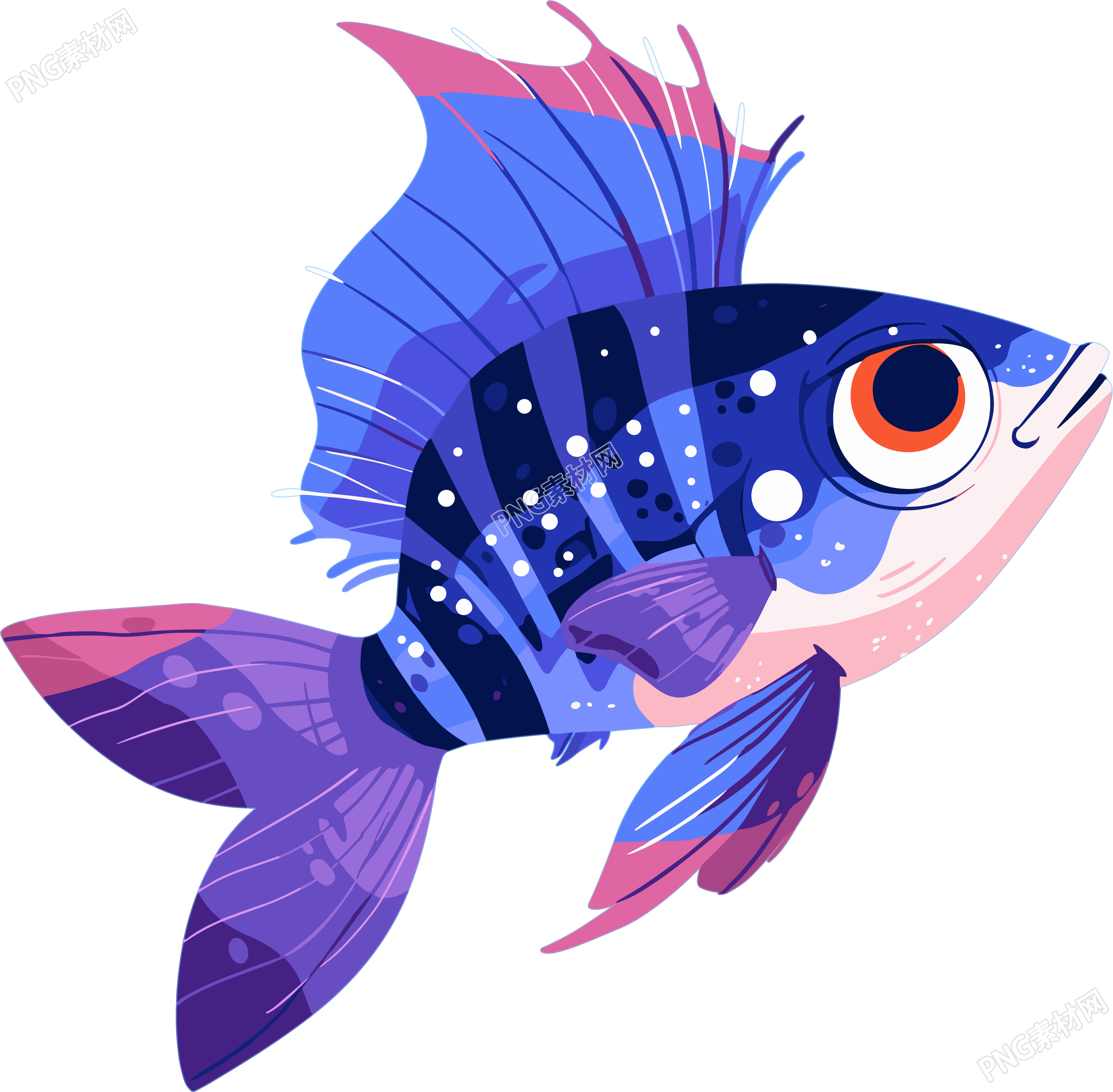 海洋鱼类插画素材