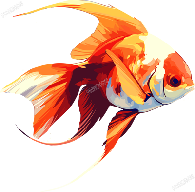 海洋魚類透明背景素材