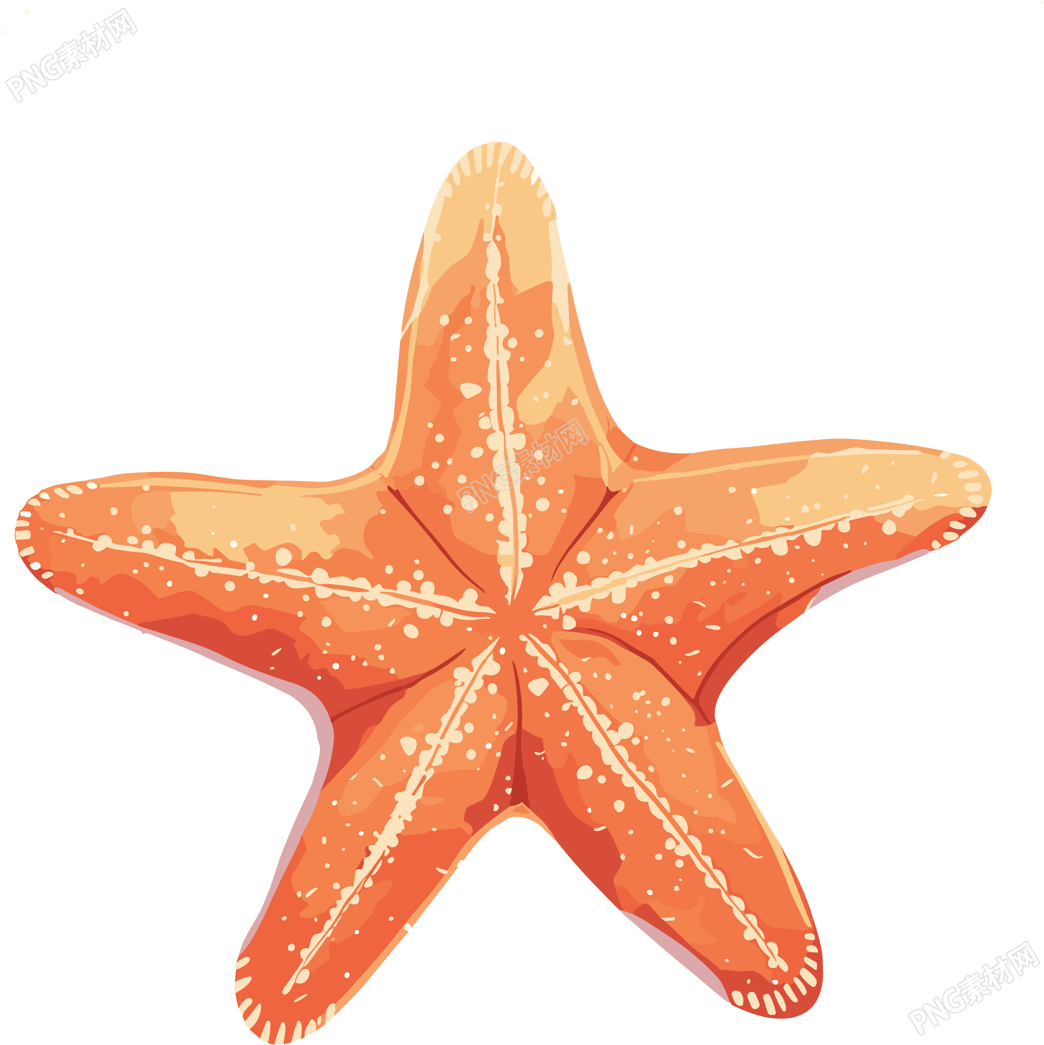 海洋海星简约元素