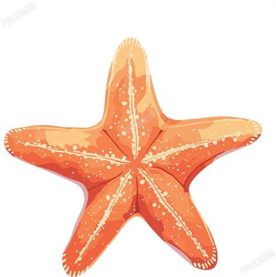 海洋海星簡約元素