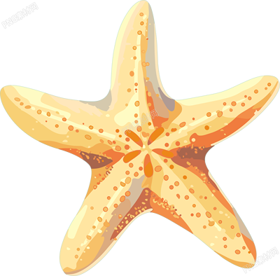 海洋海星素材