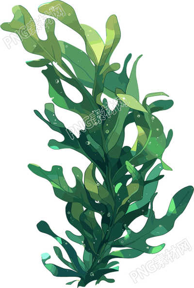 海洋海藻插畫