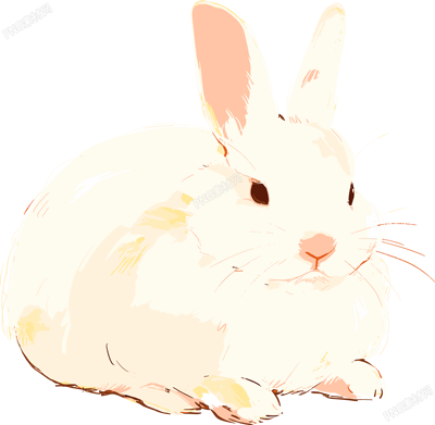 兔子呆萌插圖
