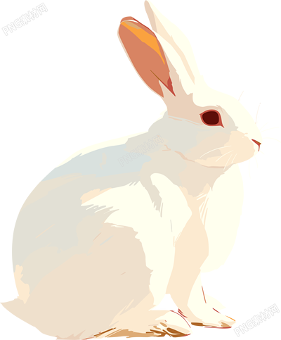 兔子手繪插圖
