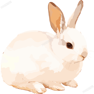 兔子簡約插畫