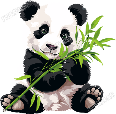 大熊貓吃竹子插畫