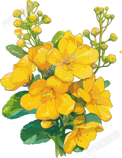 油菜花卡通元素