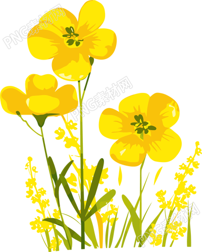 油菜花商業(yè)設(shè)計(jì)元素