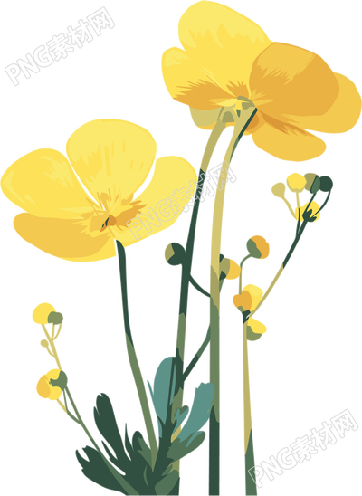 油菜花PNG商用素材