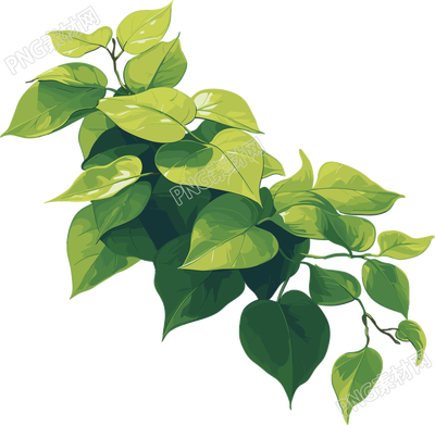 樹葉商業(yè)設計素材