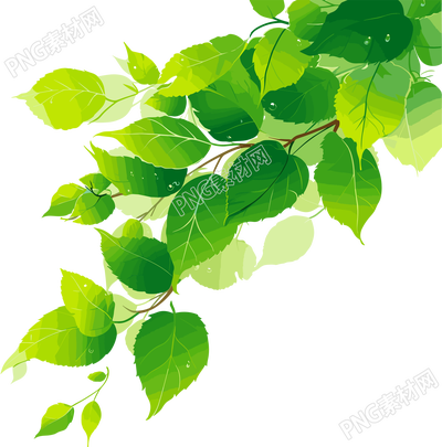 樹葉小清新素材