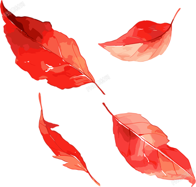 樹葉高清插畫