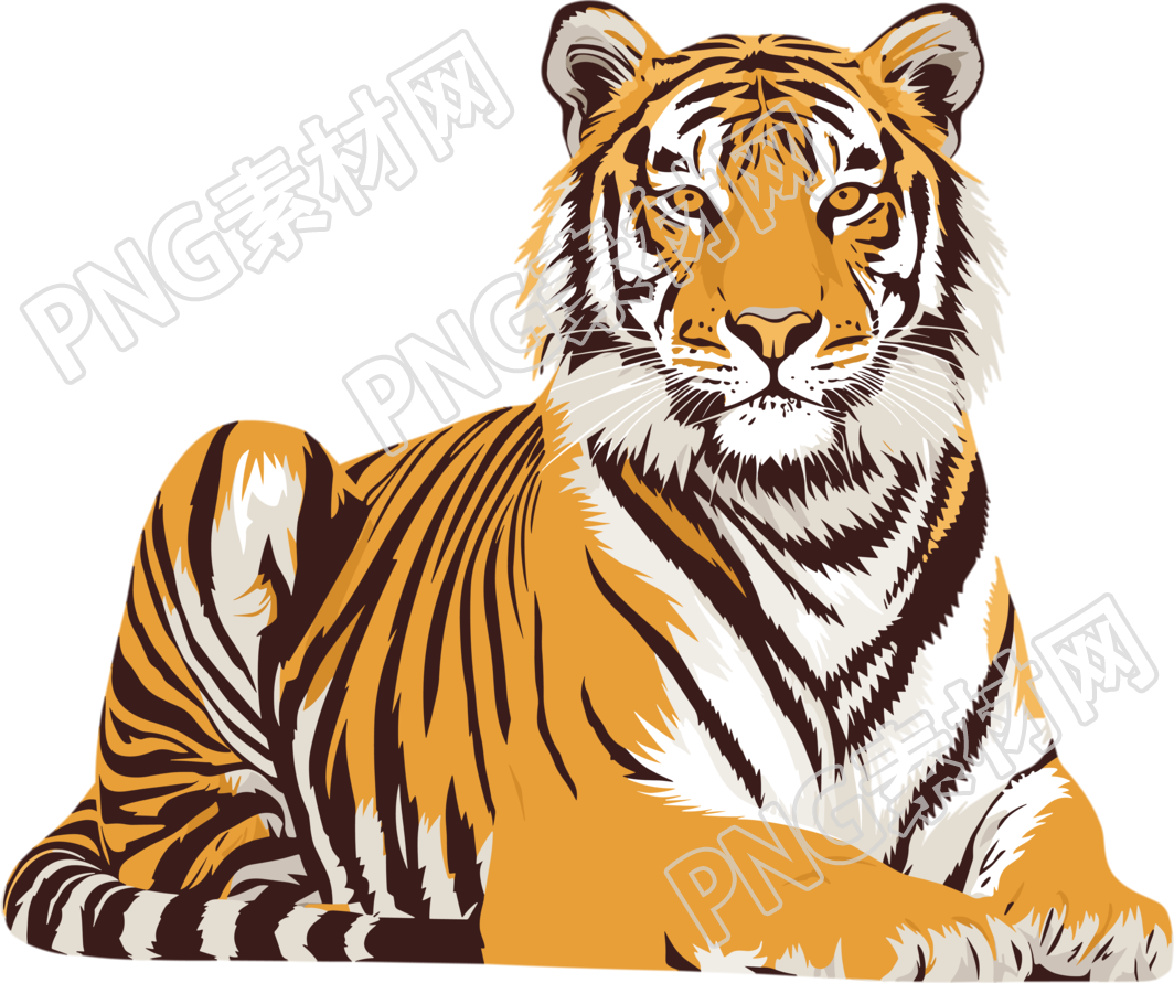 老虎PNG图形素材