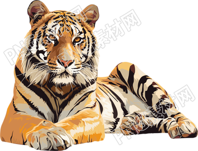 老虎插畫(huà)設(shè)計(jì)元素