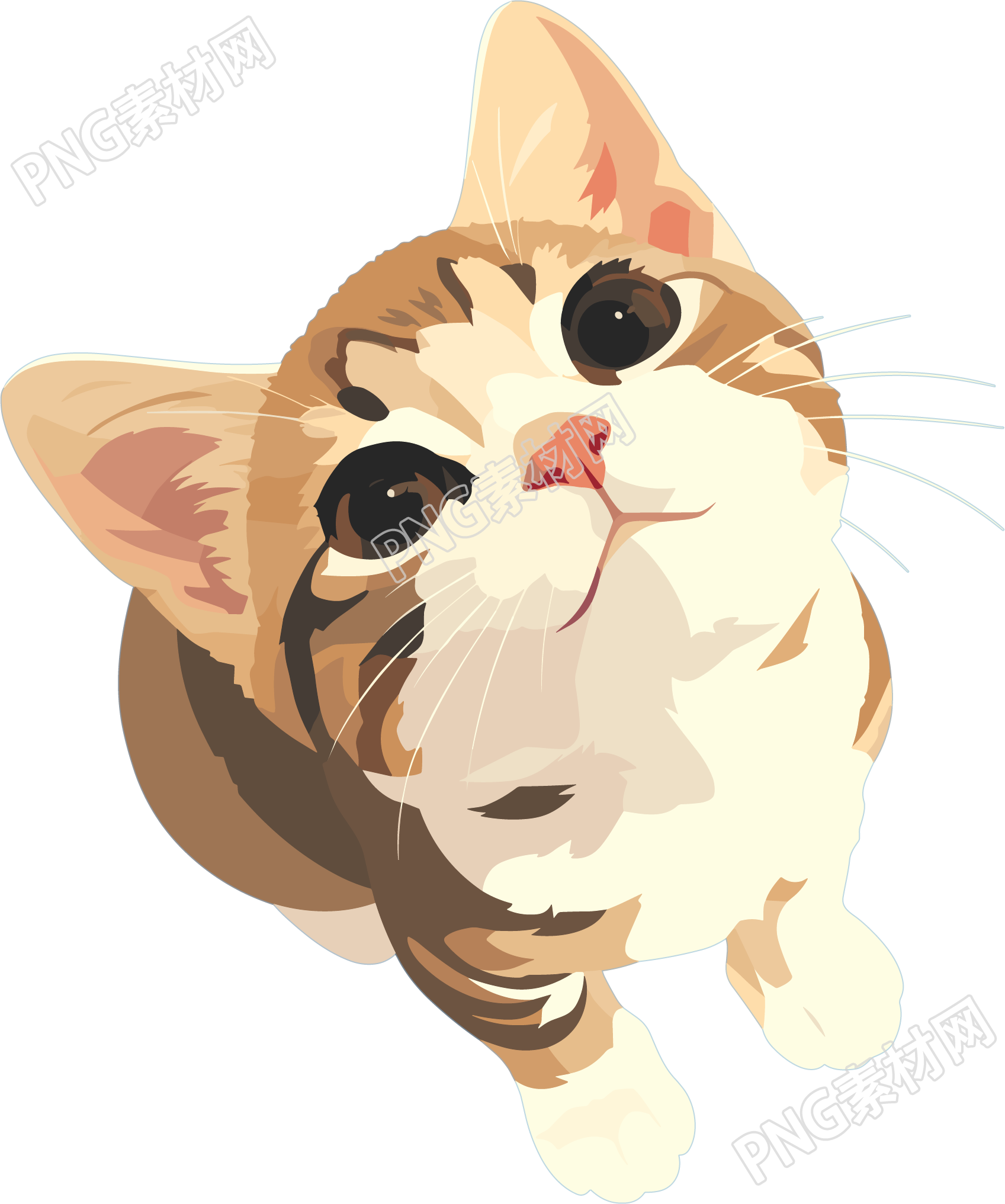 猫咪搞怪插画