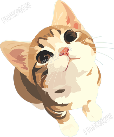 貓咪搞怪插畫