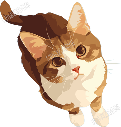 貓咪可愛插圖