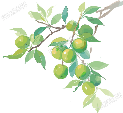 青梅創(chuàng)意圖形元素