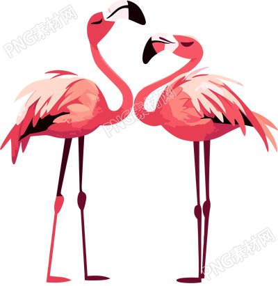 火烈鳥美麗插圖