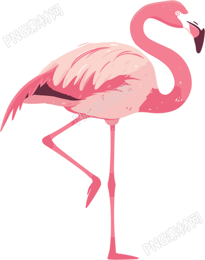 火烈鳥PNG高清插圖
