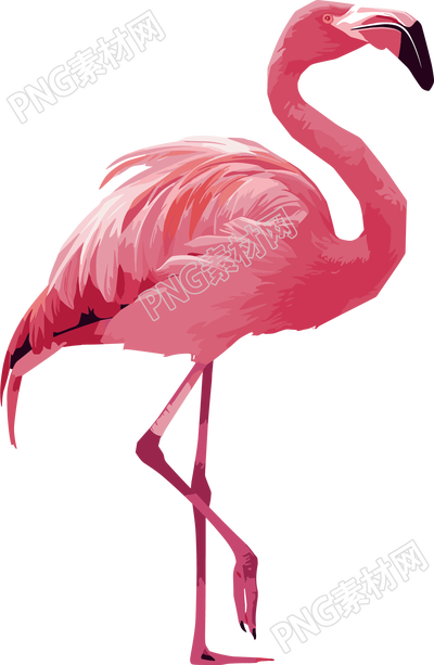 火烈鳥插畫設(shè)計元素