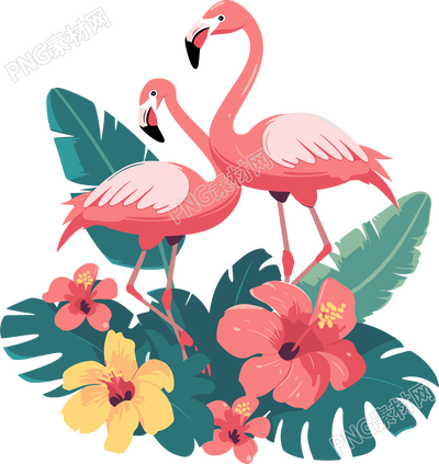 火烈鳥綠植插畫