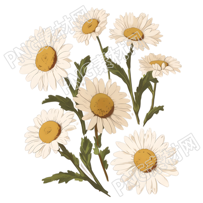 白色雛菊貼紙復(fù)古插畫