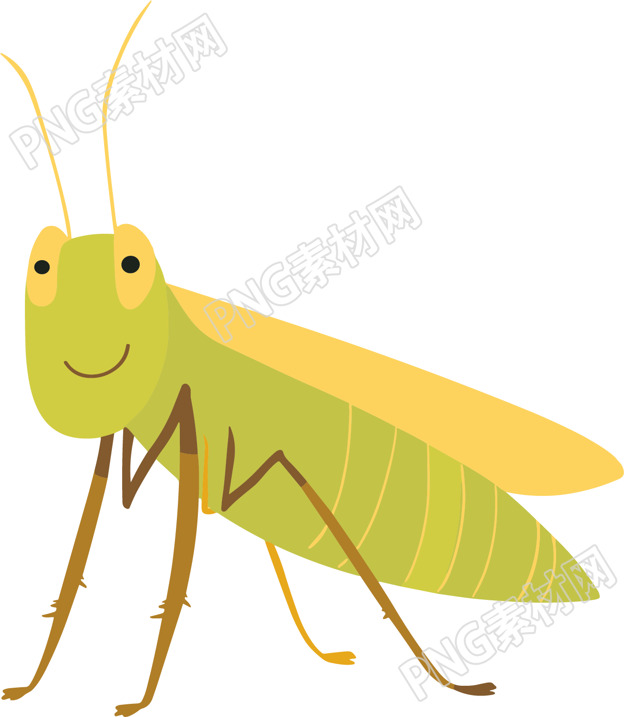昆虫蚂蚱简约扁平插画