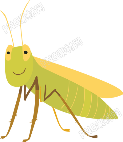 昆蟲(chóng)螞蚱簡(jiǎn)約扁平插畫(huà)