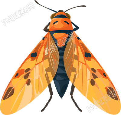 可愛(ài)昆蟲(chóng)PNG素材